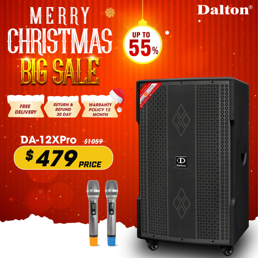 DS-12Xpro Karaoke Speaker