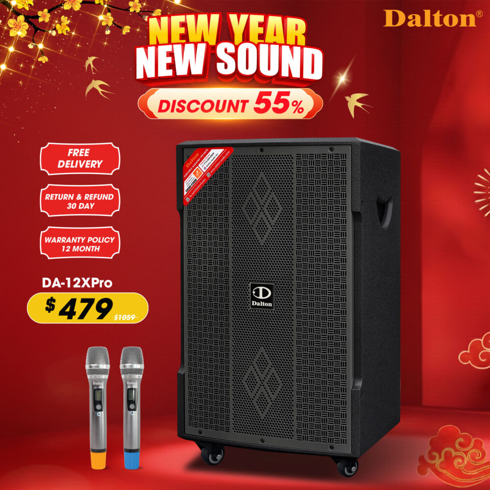 DS-12Xpro Karaoke Speaker