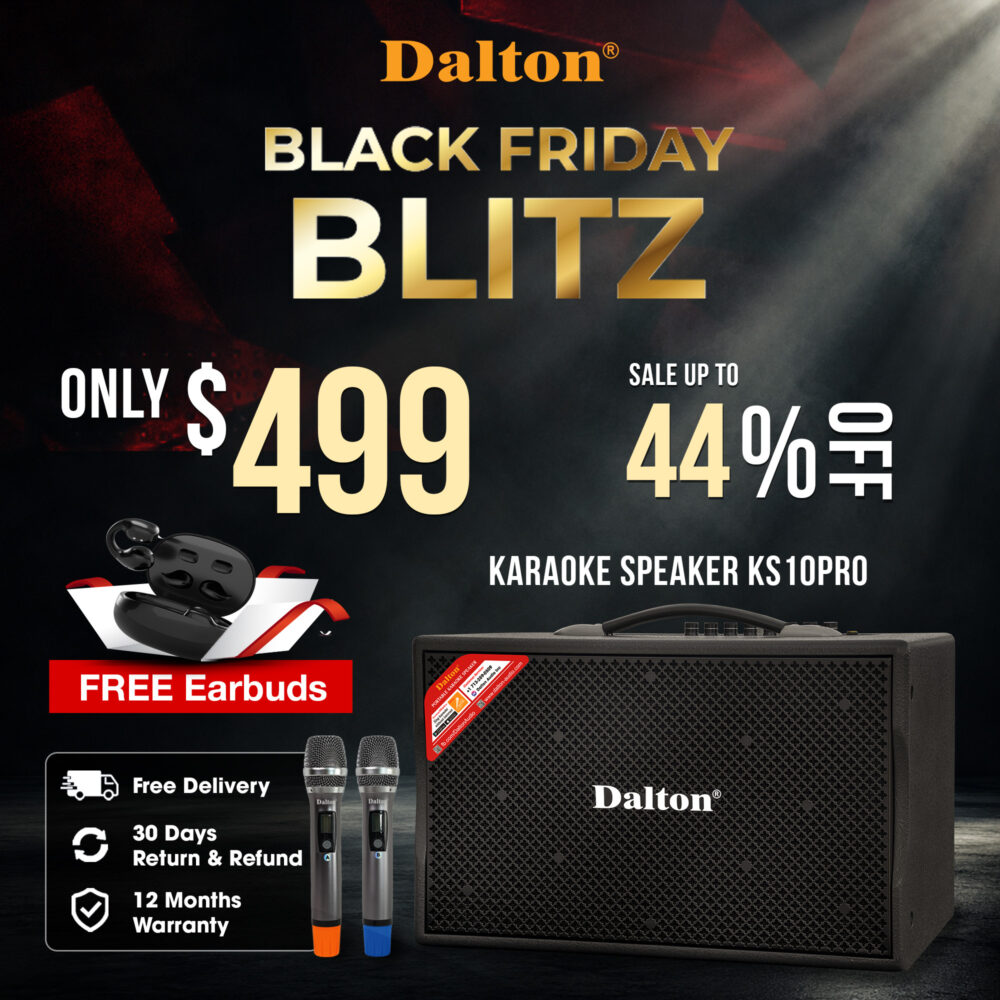 KS10Pro Karaoke Speaker