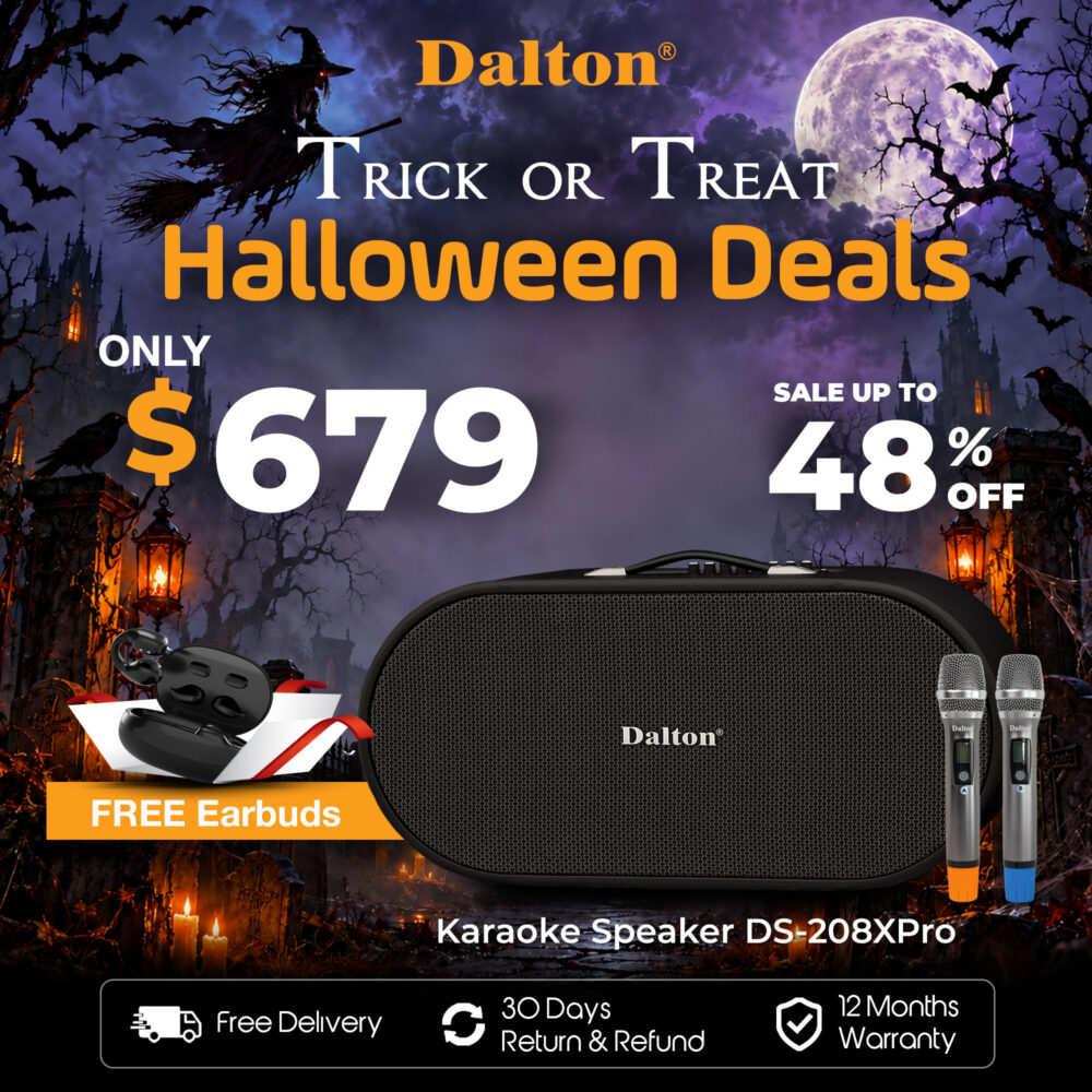 DS-208XPro Karaoke Speaker
